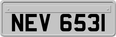 NEV6531