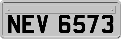 NEV6573