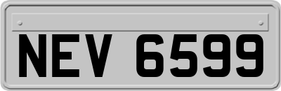 NEV6599