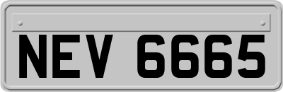 NEV6665