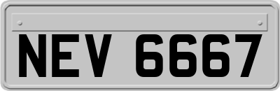 NEV6667