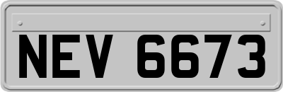 NEV6673