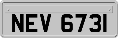 NEV6731