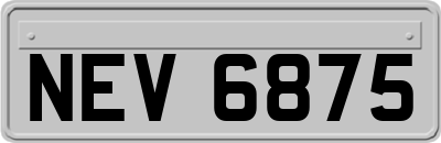 NEV6875