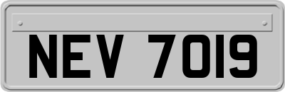 NEV7019