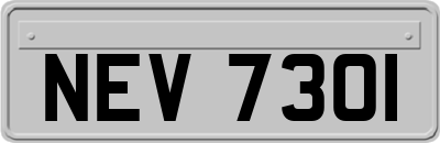 NEV7301