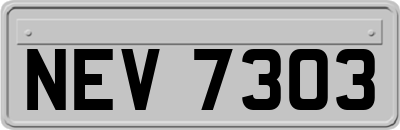 NEV7303