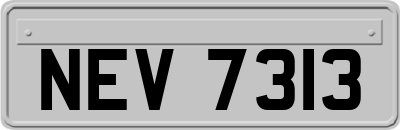 NEV7313