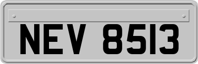 NEV8513