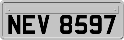 NEV8597