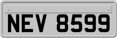 NEV8599