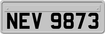 NEV9873