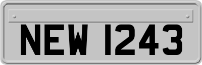 NEW1243