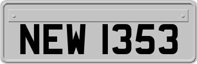 NEW1353