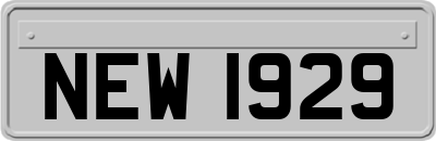 NEW1929