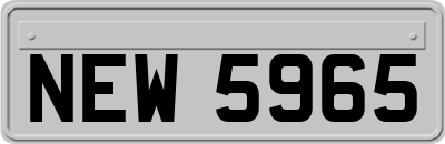 NEW5965