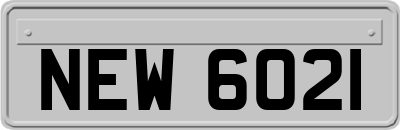 NEW6021