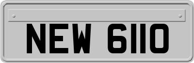 NEW6110