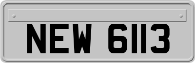 NEW6113