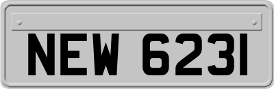 NEW6231