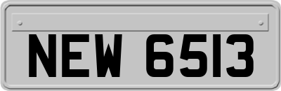 NEW6513