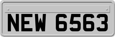 NEW6563