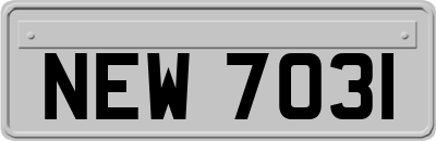 NEW7031