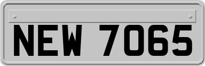 NEW7065