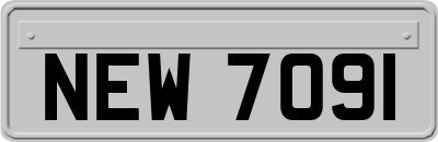 NEW7091