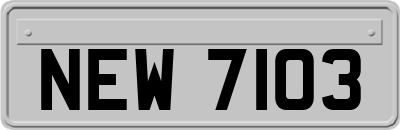 NEW7103