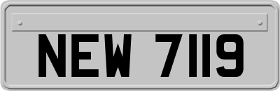 NEW7119