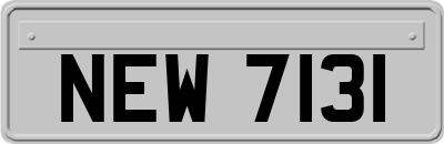 NEW7131