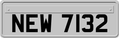 NEW7132