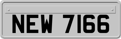 NEW7166