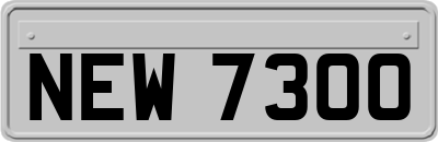 NEW7300