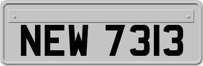 NEW7313