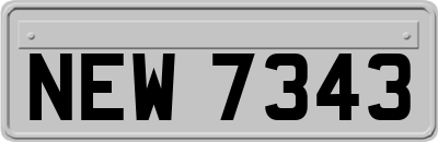 NEW7343