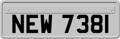 NEW7381