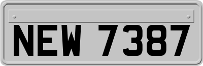 NEW7387