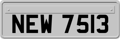 NEW7513