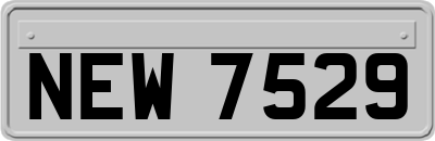 NEW7529