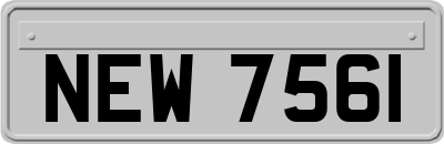 NEW7561