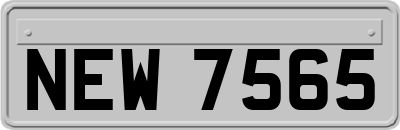 NEW7565