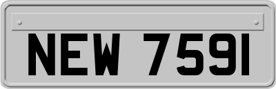 NEW7591