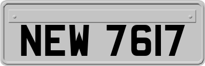 NEW7617