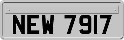 NEW7917