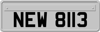 NEW8113