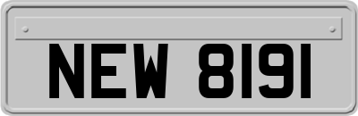 NEW8191