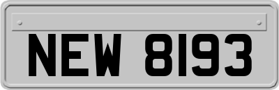 NEW8193