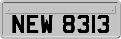 NEW8313